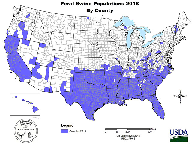 Numbers of wild pigs have swelled across the southern half of the U.S. since 1982 and have gradually crept into northern states. (Progressive Farmer image by USDA APHIS)
